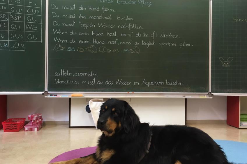 Hundegestützte Pädagogik